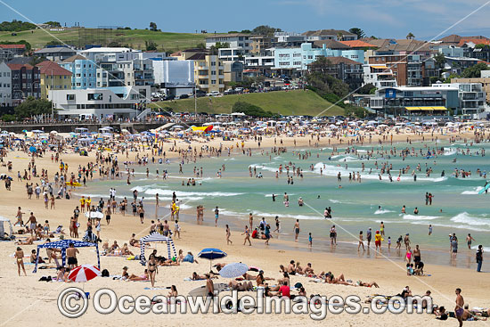 Bondi Beach photo Bondi Beach photo