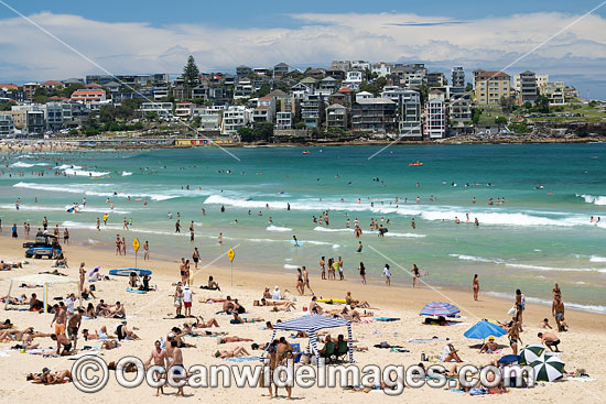 Bondi Beach photo Bondi Beach photo