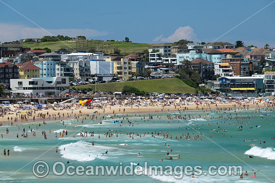 Bondi Beach photo Bondi Beach photo