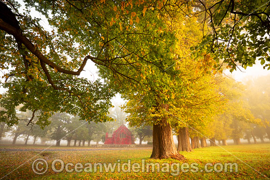 Gostwyck Chapel in Autumn photo Gostwyck Chapel in Autumn photo