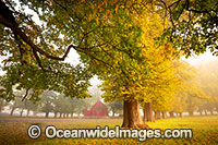 Gostwyck Chapel in Autumn Photo - Gary Bell