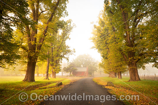 Gostwyck Chapel in Autumn photo Gostwyck Chapel in Autumn photo
