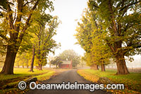 Gostwyck Chapel in Autumn Photo - Gary Bell