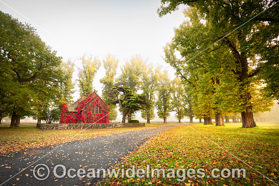 Gostwyck Chapel in Autumn photo Gostwyck Chapel in Autumn photo