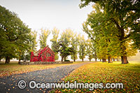 Gostwyck Chapel in Autumn Photo - Gary Bell