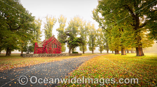 Gostwyck Chapel in Autumn photo Gostwyck Chapel in Autumn photo