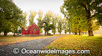 Gostwyck Chapel in Autumn Photo - Gary Bell