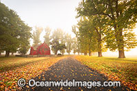 Gostwyck Chapel in Autumn Photo - Gary Bell