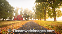 Gostwyck Chapel in Autumn Photo - Gary Bell
