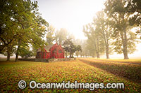 Gostwyck Chapel in Autumn Photo - Gary Bell