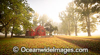 Gostwyck Chapel in Autumn Photo - Gary Bell
