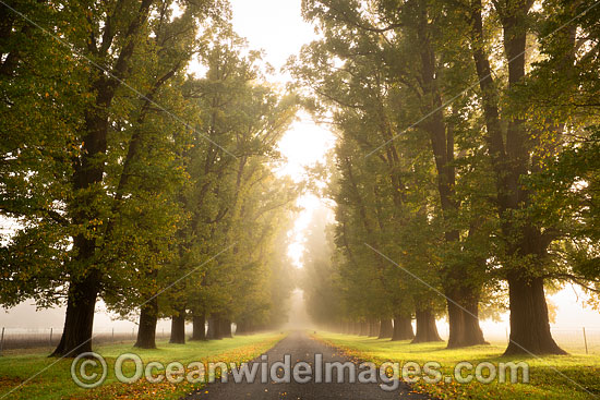 Country Road photo Country Road photo