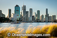 Brisbane City Photo - Gary Bell