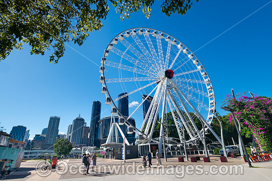Brisbane City photo