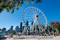 Brisbane City Photo - Gary Bell