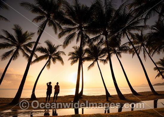 Cairns Palm Cove sunrise photo