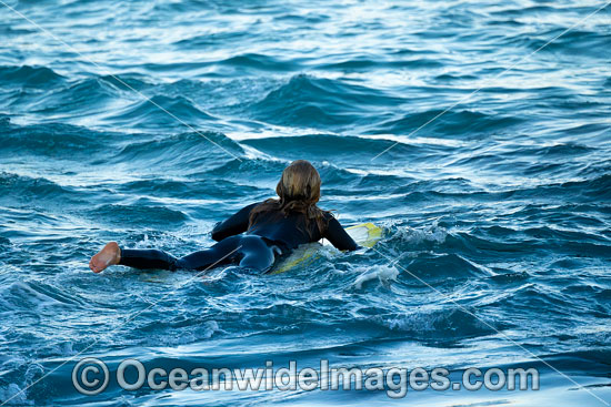 Surfer Coffs Harbour photo