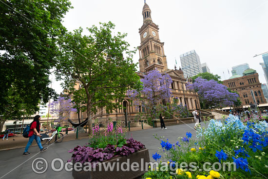 Town Hall Sydney photo