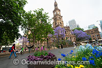 Town Hall Sydney Photo - Gary Bell
