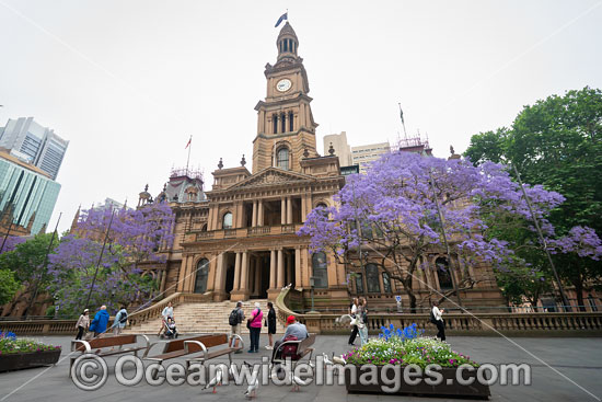 Town Hall Sydney photo