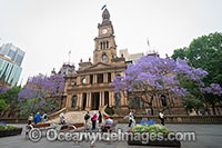 Town Hall Sydney Photo - Gary Bell