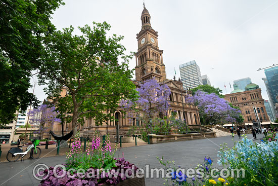 Town Hall Sydney photo