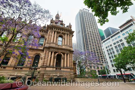 Town Hall Sydney photo