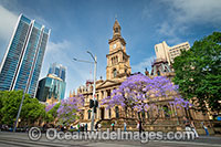 Town Hall Sydney Photo - Gary Bell