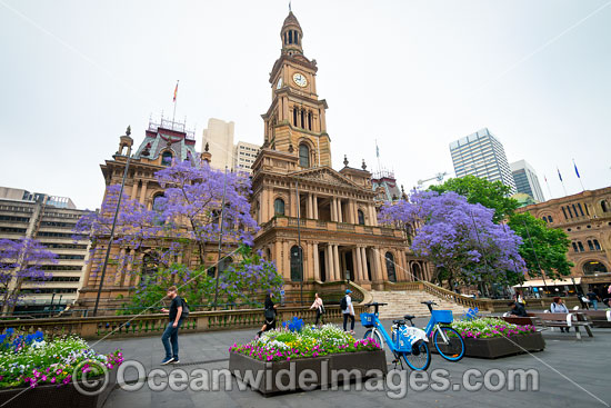 Town Hall Sydney photo