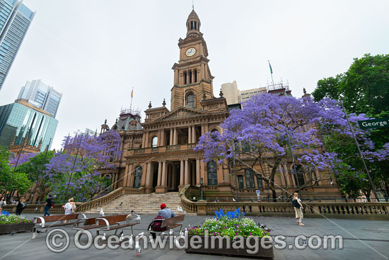 Town Hall Sydney photo