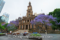 Town Hall Sydney Photo - Gary Bell