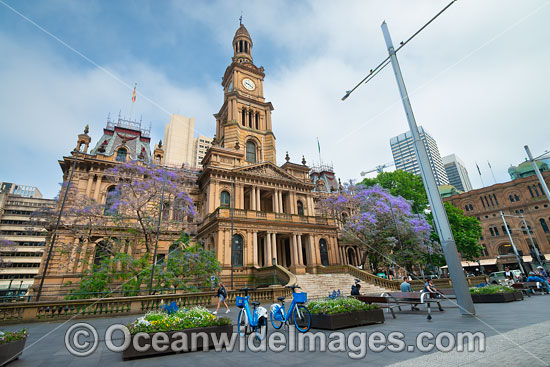 Town Hall Sydney photo