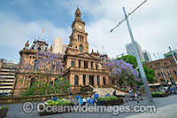 Town Hall Sydney Photo - Gary Bell