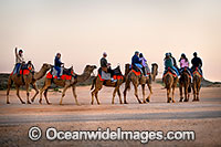 Camel Ride Silverton Photo - Gary Bell