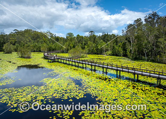 Urunga wetlands photo