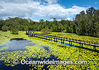 Urunga wetlands Photo - Gary Bell