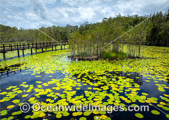 Urunga wetlands photo