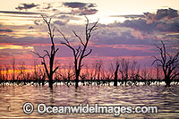 Menindee Sunset Photo - Gary Bell