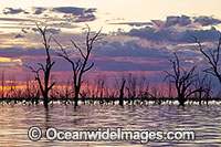 Menindee Sunset Photo - Gary Bell