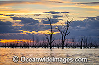 Menindee Sunset Photo - Gary Bell