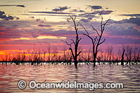 Menindee Sunset Photo - Gary Bell