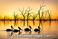 Menindee Sunset Photo - Gary Bell