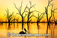Menindee Sunset Photo - Gary Bell