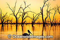 Menindee Sunset Photo - Gary Bell