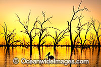 Menindee Sunset Photo - Gary Bell