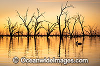 Menindee Sunset Photo - Gary Bell