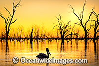 Menindee Sunset Photo - Gary Bell