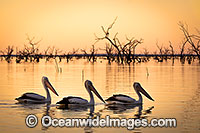 Menindee Sunset Photo - Gary Bell