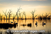 Menindee Sunset Photo - Gary Bell