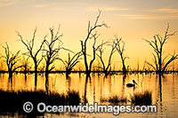 Menindee Sunset Photo - Gary Bell